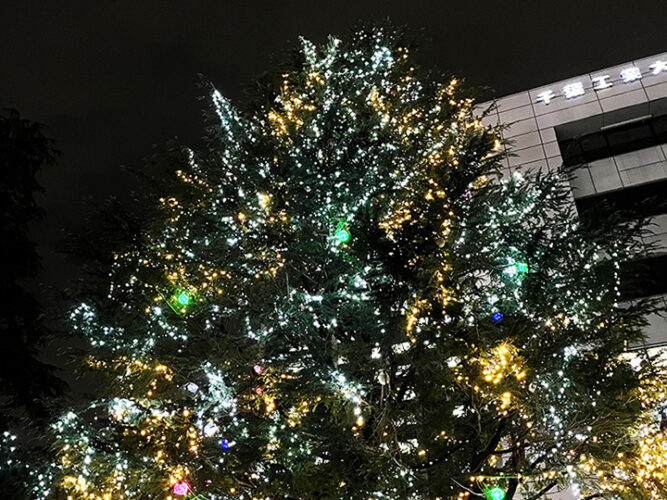 津田沼駅前の千葉工業大学のイルミネーションを施工しました